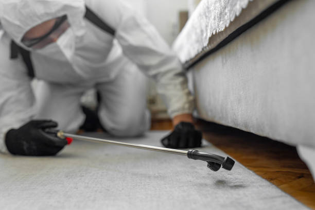 Professional Termite Control technician working in Alma, NE
