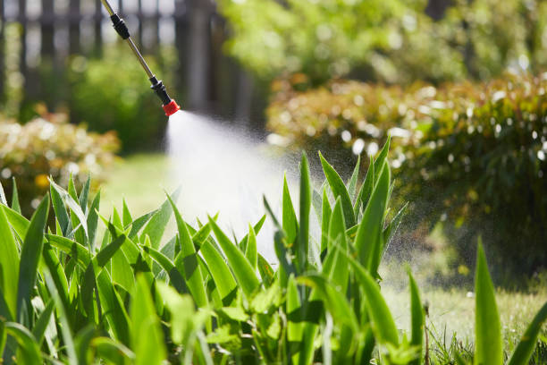 24/7 Emergency Termite Control experts in Alma, NE