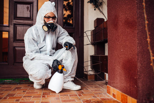 Reliable Termite Control contractor in Alma, NE by Nex Pest Control