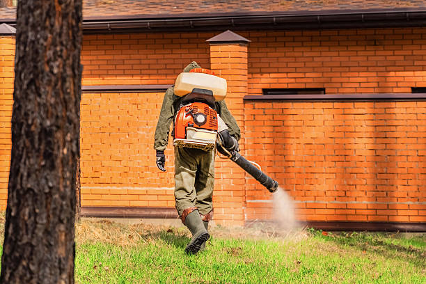 Trusted Emergency Pest Control service in Alma, NE - Nex Pest Control
